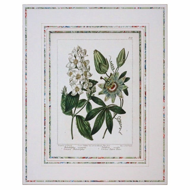 Late 20th Century Late 20th Century Pair of Gilt-Framed Large Botanical Prints: Calla Lily & Passion Flower For Sale - Image 5 of 7
