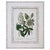 Late 20th Century Late 20th Century Pair of Gilt-Framed Large Botanical Prints: Calla Lily & Passion Flower For Sale - Image 5 of 7