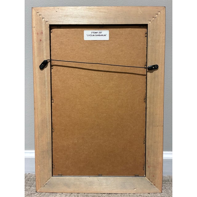 Vintage Lycium Barbarum Chinese Jasmine Botanical Print in Black & Gold Frame For Sale In Charlotte - Image 6 of 6