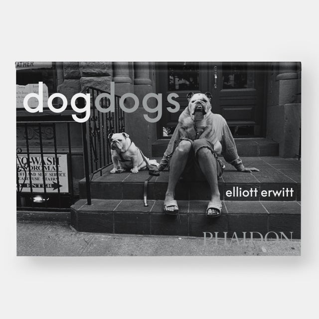 DogDogs Photography Book For Sale - Image 4 of 12