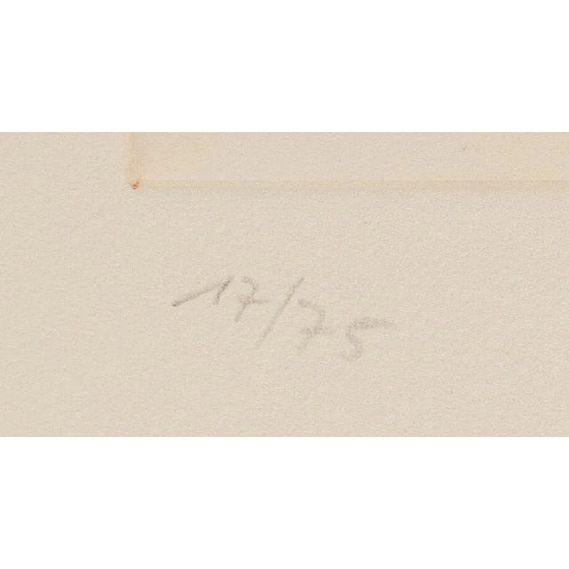 Salvador Dali, L'Etalon Blanc (Hommage au cheval), 1974, Drypoint Etching, in Flawless conditions. Designed 1970 to 1979