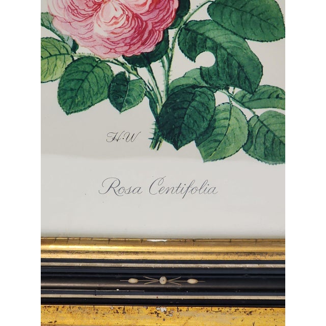 Antique Floral Prints in Mother of Pearl Inlay Wooden Frames - A Pair For Sale In Atlanta - Image 6 of 7