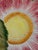 Ceramic Vintage Tiffany & Co. Majolica Ceramic Flower Shaped Dish in the Style of Mottahedeh Made in Italy Signed For Sale - Image 7 of 9
