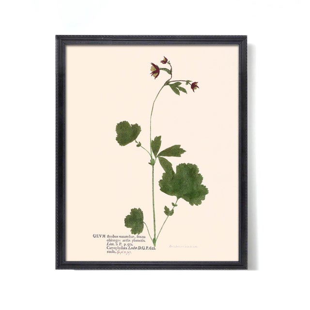 Not Yet Made - Made To Order Antique Botanical Set in Oxblood - Set of 8 16" X 20" For Sale - Image 5 of 11