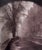 Paper "The Work of Eugene Atget" Paris Photographs-First Edition-1982 For Sale - Image 7 of 12