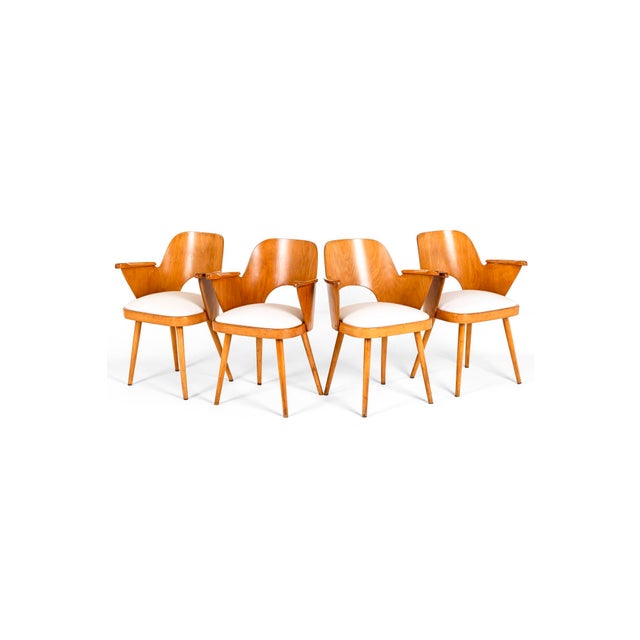 Dining Chairs by Oswald Haerdtl for Ligna, Set of 4 For Sale - Image 5 of 15