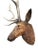 A magestic Black Forest stag head. Rustic patina from hanging outdoors. Has glass eyes.