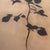A striking large-scale monochromatic drawing depicting a single black rose rendered in an elegant silhouette. Executed on...