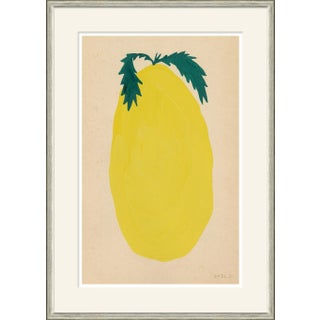 Rollinia Framed Art Print by Susan Hable For Sale
