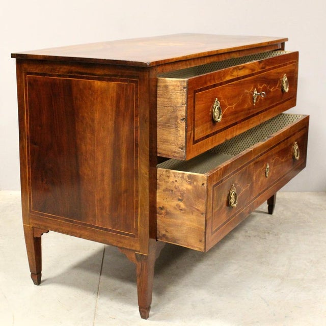 18th Century Italian Louis XVI Walnut Chest of Drawers For Sale - Image 5 of 17
