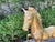 1960s Large Hollywood Regency Brass Horse Sculpture For Sale In Houston - Image 6 of 10