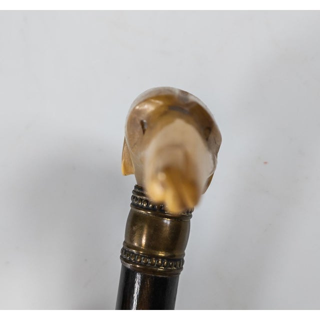 19th Century Victorian Carved Water Buffalo Horn Parasol Handle in the Form of Greyhound For Sale In New York - Image 6 of 8