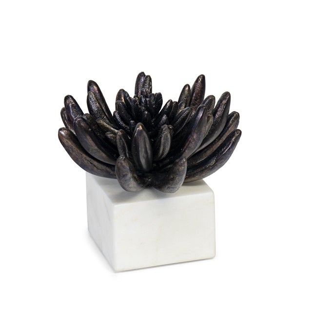 Create a focal point on your coffee table, credenza, or bookcase with this blackened zinc succulent planted on a marble...