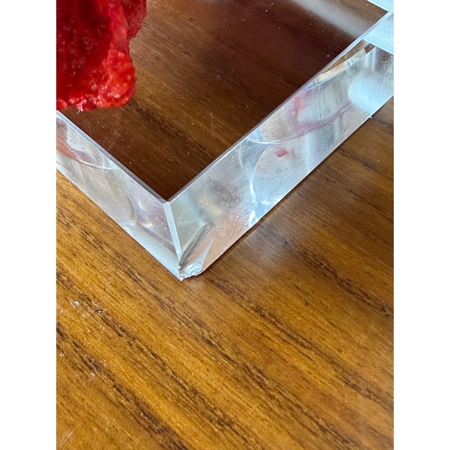 Pair of Red Faux Coral Table Lamps on Clear Acrylic Bases For Sale - Image 9 of 12