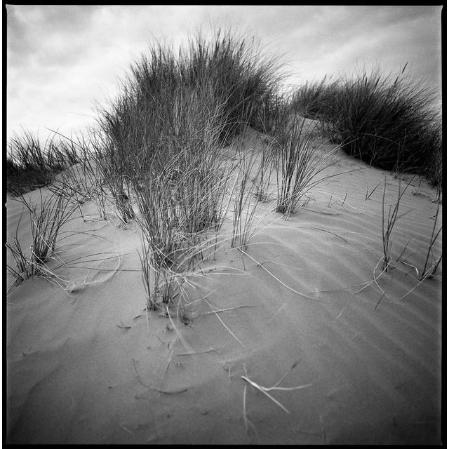 Not Yet Made - Made To Order Paul Cooklin, Sand Dune Iv, North Devon, Edition of 50 For Sale - Image 5 of 5