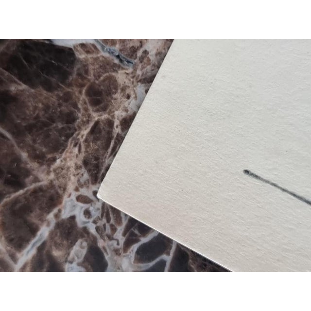 Print Depicting Pablo Picasso Vallauris Plate with Bird from Albert Skira, Mid-20th Century For Sale - Image 4 of 7