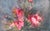 Contemporary Abstracted Floral Oil Painting -- Magnolias in Morning Mist by Carrie Clayden For Sale - Image 3 of 7