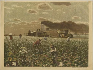 F.E. Wachsmuth, Schoolplate of a Cotton Field, 1900, Paper