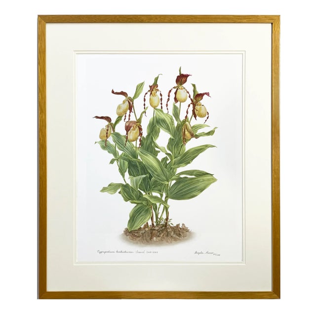 Large Orchid Giclee Prints Hand-Retouched by Angela Mirro - Set of Three Framed Prints - For Sale - Image 13 of 18