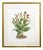 Large Orchid Giclee Prints Hand-Retouched by Angela Mirro - Set of Three Framed Prints - For Sale - Image 13 of 18