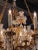 19th Century French Louis XVI Crystal Chandelier with 18 Lights For Sale - Image 9 of 11
