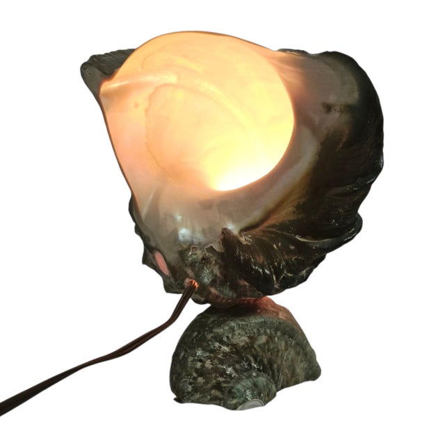 1970s Tahitian Turbo Marmoratus Mother-of-Pearl Shell Mood Lamp For Sale - Image 9 of 16