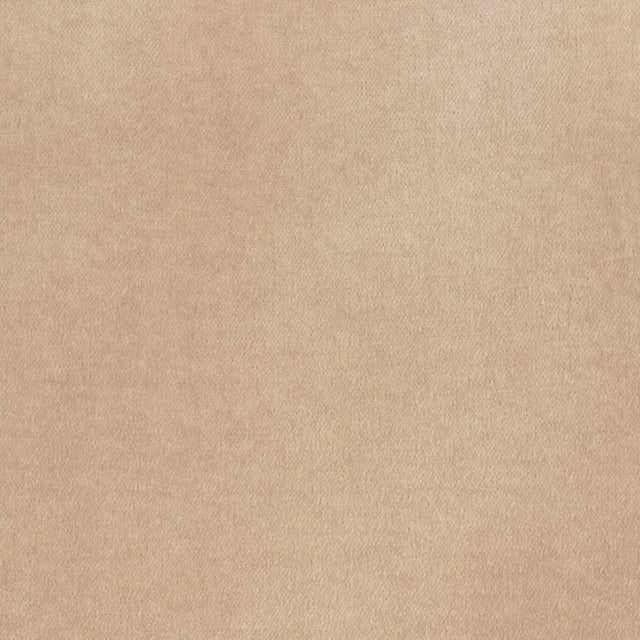 Contemporary Schumacher Rocky Performance Velvet Fabric in Light Taupe For Sale - Image 3 of 3