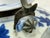 Ceramic Chinese Export Blue & White Porcelain Teapots, Set of Four For Sale - Image 7 of 12