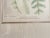 English Vintage Henry Bradbury Nature Fern Print Framed For Sale - Image 3 of 9