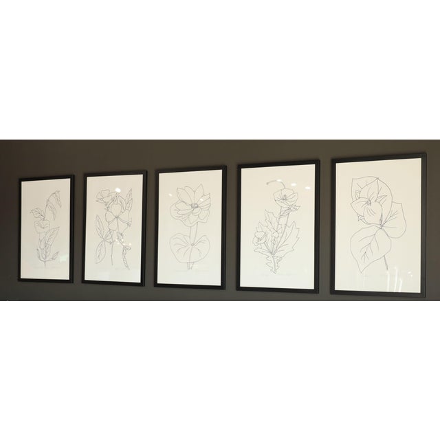 Mid 20th Century Betsy Tryon Framed Botanical, DTD 1978 (Sold Individually) For Sale - Image 5 of 7