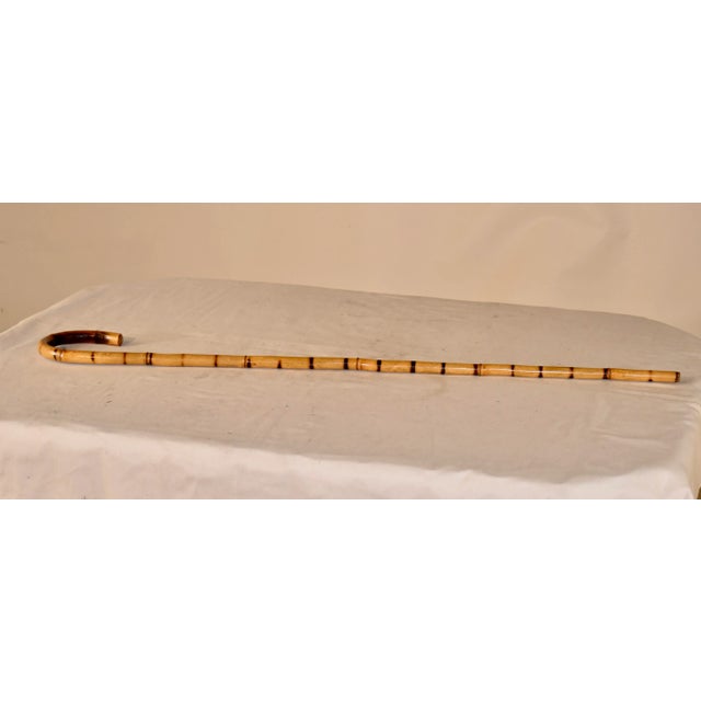 Circa 1920's English walking stick made from bamboo. These look wonderful in a hall stand or for actual use if needed!
