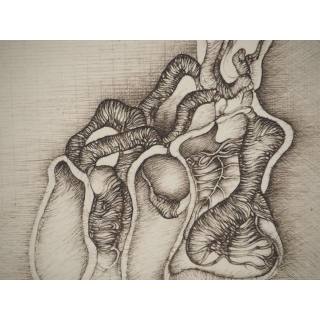 Fred Deux, Table Decorations, Original Engraving For Sale - Image 5 of 6