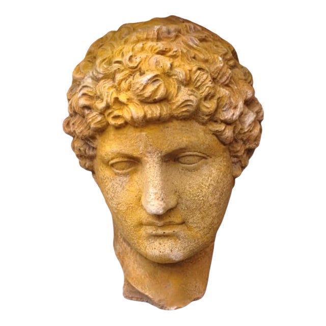 Classic Head in Stone Imitation, 1960s For Sale