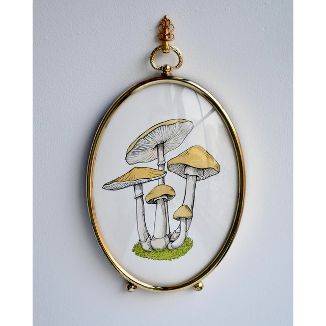 Illustration Original Painting of Mushroom in Vintage Frame For Sale - Image 3 of 5
