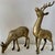 Elegant pair of vintage solid brass deer figurines featuring beautifully sculpted details and a warm, aged patina. Great...