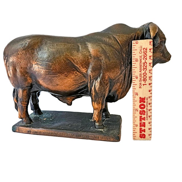 1969 Vintage Santa Gertrudis Breeders International Bronze Bull Trophy Statue For Sale - Image 11 of 13