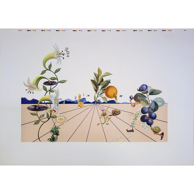 Salvador Dali, Flordali I, Lithograph For Sale - Image 8 of 8