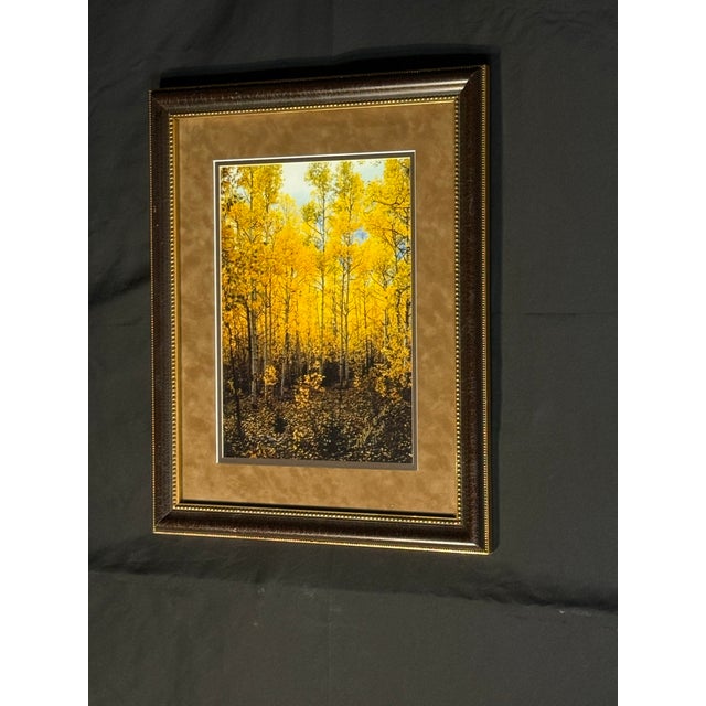 Framed Autumn Forest Print With Yellow Trees For Sale In Miami - Image 6 of 9