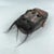 Early 20th Century Early 20th Century Ibibio Carved and Painted Cross River Mask Nigeria For Sale - Image 5 of 11