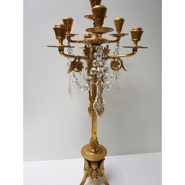 French Empire Neoclassical 7-Light Candelabra in Gilt Bronze and Crystal For Sale - Image 9 of 18