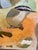 “Little Birds” by LWren Walraven For Sale - Image 12 of 12
