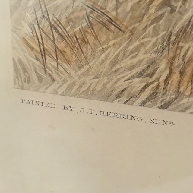 Mid 19th Century Framed Fores’s National Sports, Fox Hunting Engraving For Sale - Image 5 of 10