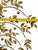 Mid-Century Modern Vintage Curtis Jeré/Artisan House 1977 “Tree of Life Metal” Wall Sculpture MCM Brutalist For Sale - Image 3 of 3