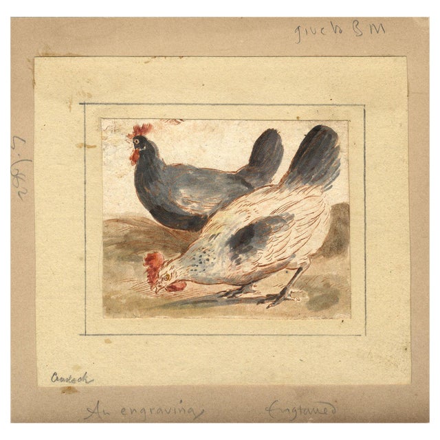 After Marmaduke Cradock, Chickens, 17th Century, Engraving with Watercolour For Sale