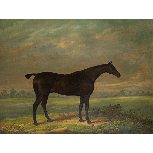 Contemporary 1820s “Dark Bay Hunter in a Landscape” Antique Equestrian Horse Painting Oil on Canvas by James Barenger the Younger For Sale - Image 3 of 12