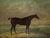 Contemporary 1820s “Dark Bay Hunter in a Landscape” Antique Equestrian Horse Painting Oil on Canvas by James Barenger the Younger For Sale - Image 3 of 12