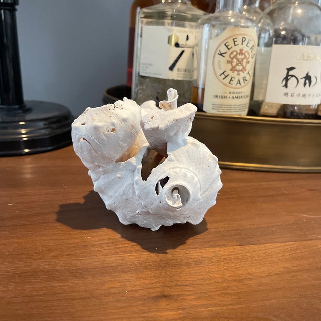 “Surrender, Beneath” 1/1 Signed by the Artist Cheryl Fudge. Modern Abstraction Hand Painted Nantucket Sculpture. For Sale - Image 9 of 11