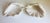 Serge Roche Style Clam Shell Wall Pockets - A Pair For Sale - Image 9 of 13