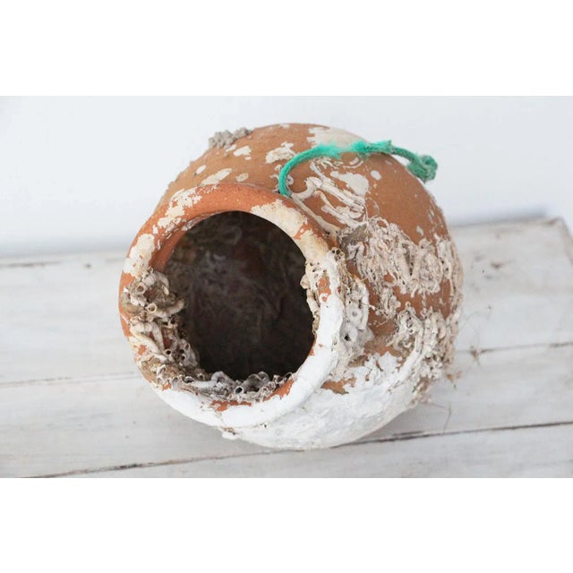 Brown 19th Century Antique Terracotta Octopus Trap, Octopus Terracotta Undersea Pot For Sale - Image 8 of 13