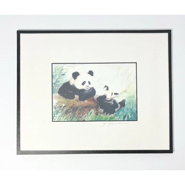 Dong Liang Yuan Set of 4 Framed & Matted Small Signed “Panda” Prints For Sale - Image 12 of 16